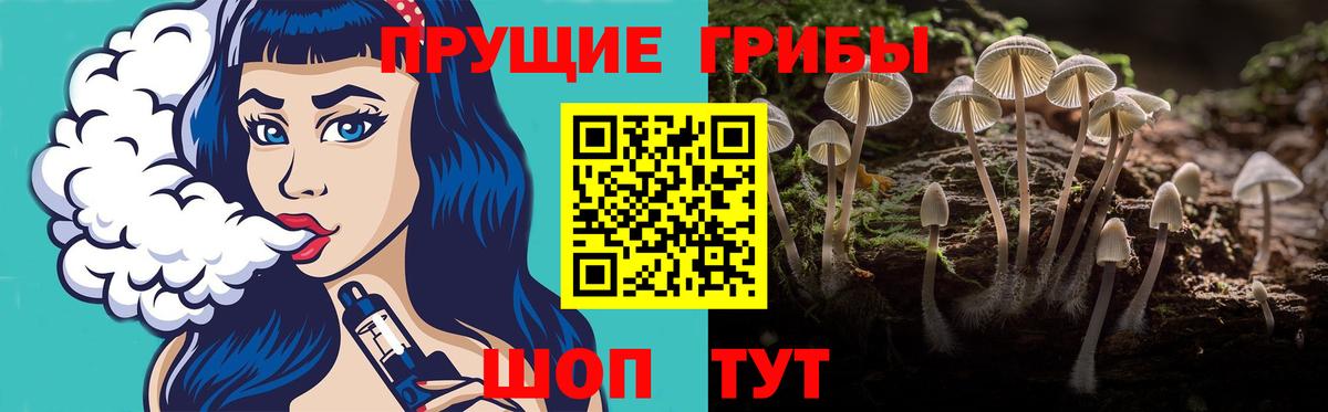 Гурьевск  Галлюциногенные грибы Psilocybine cubensis  Вход с VPN 